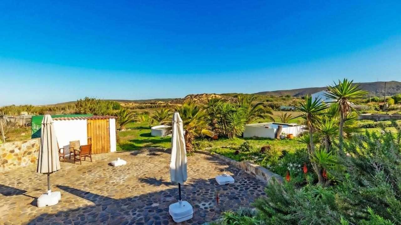 Casa Presente Guesthouse 卡拉帕泰拉 外观 照片